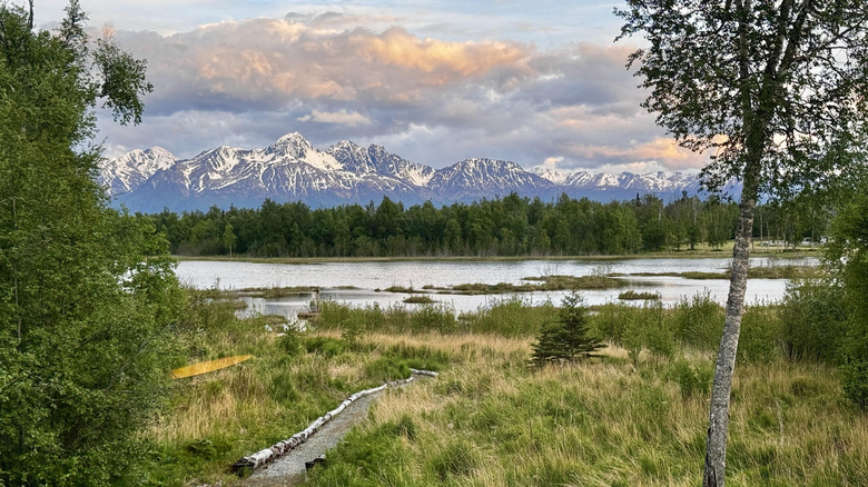 Humedales de Alaska con montañas al fondo