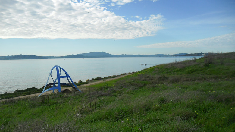 Un campo de hierba con una escultura azul domina la bahía en el Parque César Chávez