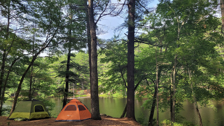 Tiendas de campaña a orillas de un lago en el bosque estatal Harold Parker