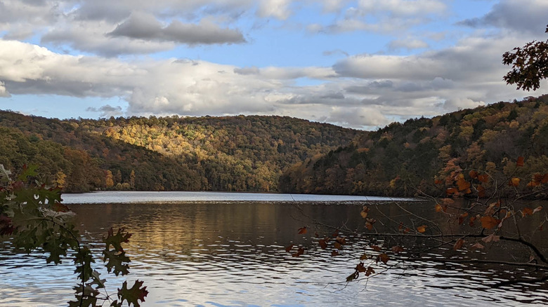Lago en el bosque estatal Paugussett en otoño