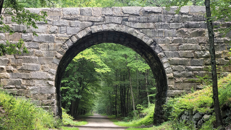 Un puente en el bosque estatal de Douglas