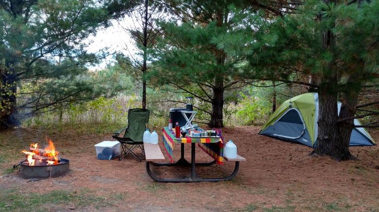 Camping con fogón, tienda de campaña y mesa de picnic en el Parque Regional Cleary Lake.