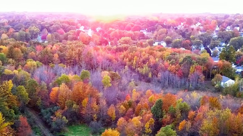 Vista aérea de Somersworth y su follaje de otoño y abundantes árboles que se vuelven rojos, dorados y oxidados.