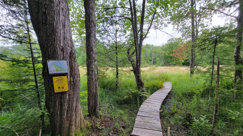 El comienzo del sendero en Steep Falls Village Preserve adyacente al Área de Manejo de Vida Silvestre de Steep Falls en Standish, Maine