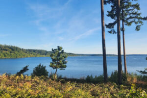 Entre Tacoma y Port Townsend se encuentra la joya de la península de Washington con historia, un casino y vistas de la costa