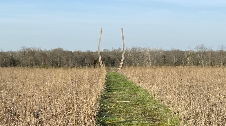 Un sendero en Possum Creek MetroPark en Dayton, Ohio