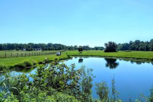 En el extremo suroeste de Dayton hay un tranquilo parque de Ohio con campamentos, senderos y diversión en el lago