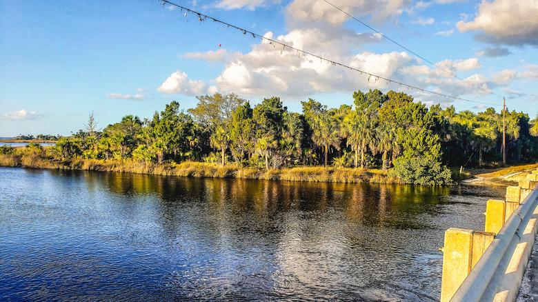 Puente Bird Creek mirando hacia Pumpkin Island en Yankeetown, Florida.