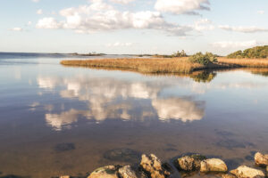 El tranquilo parque playero de Florida, entre Gainesville y Tampa, ofrece vistas al mar, pesca y relajación