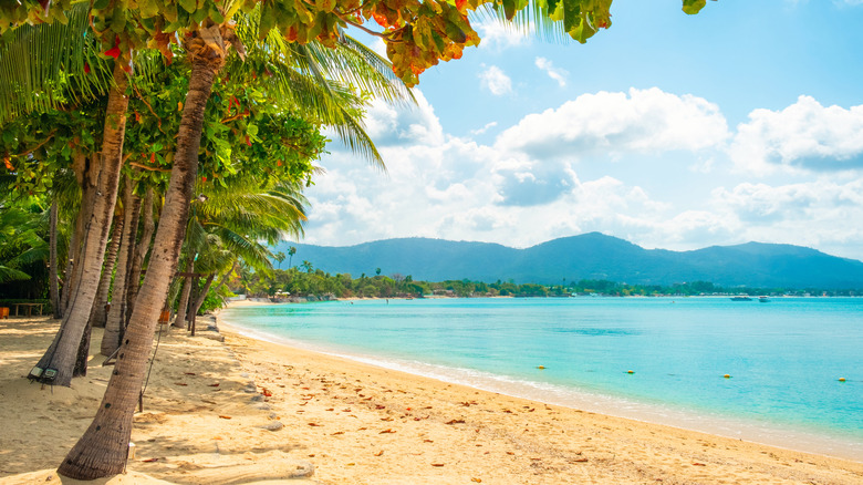 La arena dorada de la playa de Maenam en Koh Samui