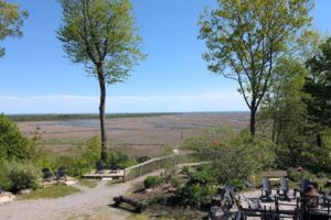 Entre Detroit y Buffalo hay un idílico complejo natural con glamping, tirolina y restaurantes en el lugar