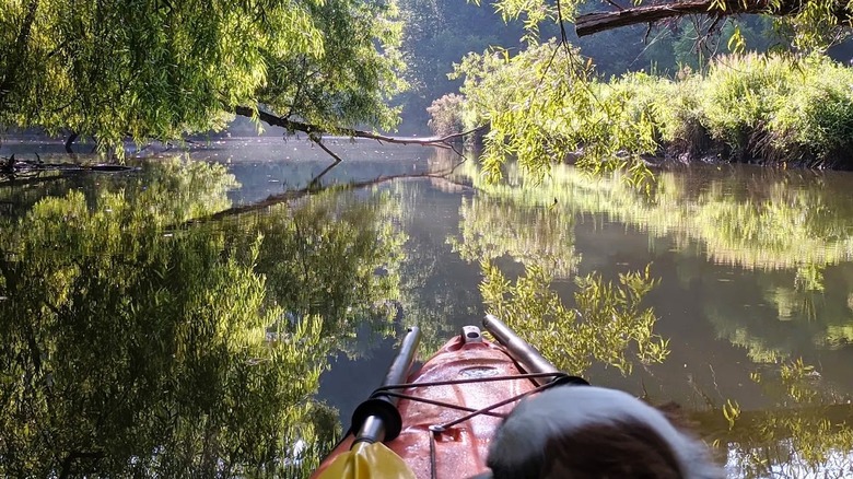 Un kayak a la deriva a través de una estrecha cala con árboles sombreados colgando sobre el agua en el lago Adger en Carolina del Norte