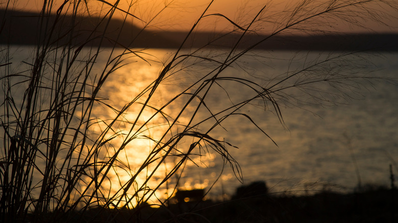 Pradera de pastos altos a orillas del lago Skiatook al atardecer