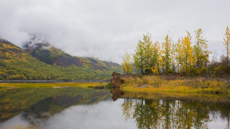 Una niebla rodando por la ladera de una montaña hacia el lago Eklutna en Alaska con follaje de otoño amarillo.