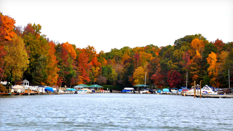 Barcos alineados a lo largo de la costa del lago Norman en Carolina del Norte con colorido follaje de otoño en los árboles