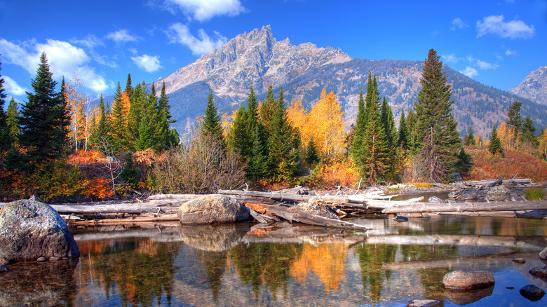 Las montañas Grand Teton se reflejan en el lago Jenny con un colorido follaje de otoño