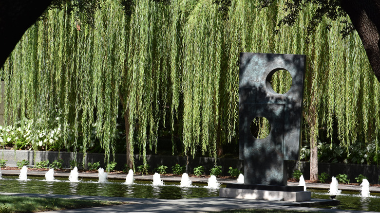 Una escultura colocada junto a plantas colgantes y una fuente de agua en el Centro de Escultura Nasher en Dallas, Texas.