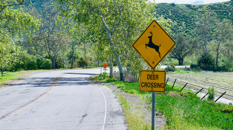 Señal de cruce de ciervos en un camino rural rodeado de árboles