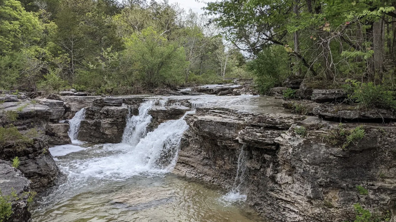Una cascada en Hercules Glades Wilderness cerca de Branson, Missouri