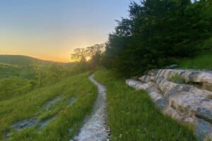 8 parques vibrantes cerca de Branson para disfrutar de vistas panorámicas y diversión al aire libre en las montañas Ozark