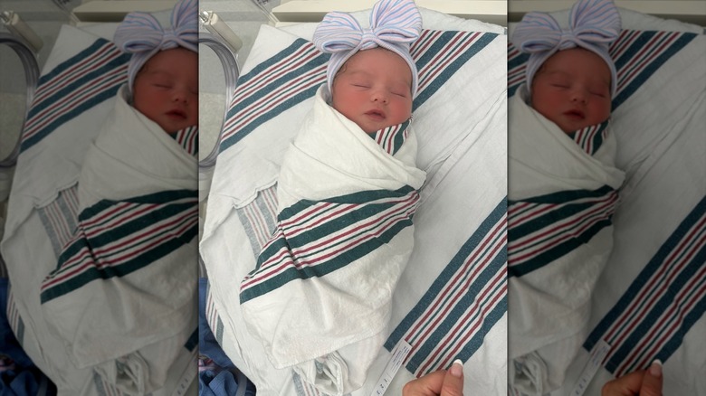 Una foto de llegada de la hija de Rebel Wilson, Rose Estelle.