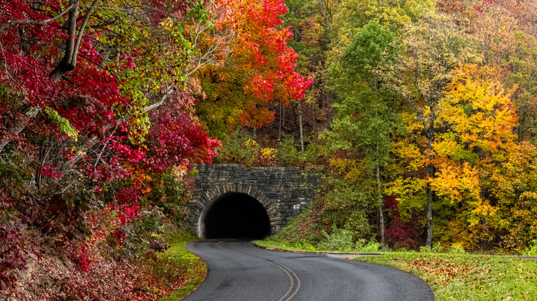 La entrada al túnel Young Pisgah en Blue Ridge Parkway en otoño