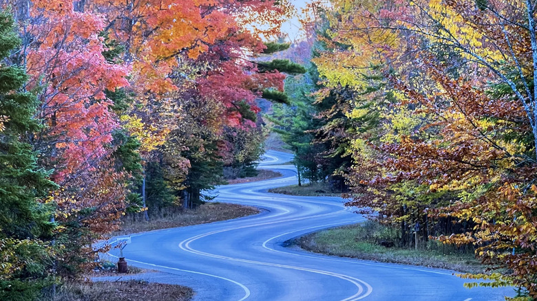 Ruta sinuosa 42 en el condado de Door de Wisconsin con árboles de colores otoñales bordeando la carretera