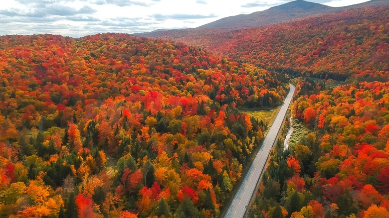 Espectacular follaje de otoño en Nueva Inglaterra, vista aérea de un pintoresco camino en Stowe, Vermont