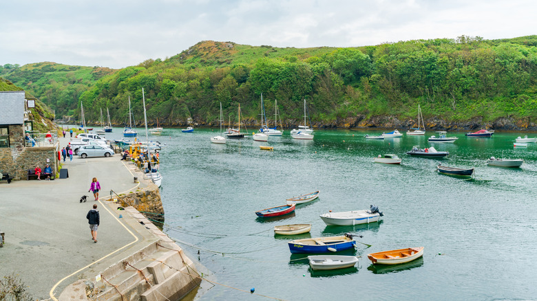 La gente camina por el puerto de Solva, Gales
