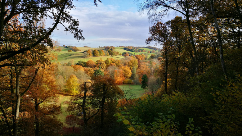 Colinas onduladas salpicadas de árboles en el Winkworth Arboretum de Inglaterra