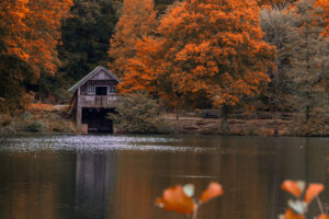 Entre Portsmouth y Londres se encuentra el etéreo Arboretum de Inglaterra con pintorescos humedales, senderos y vistas al lago