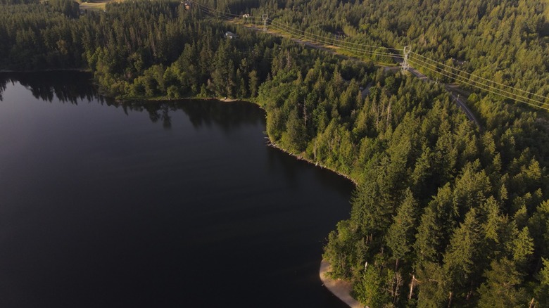 Vista aérea del bosque y el lago en el Parque Estatal Nolte en Washington.