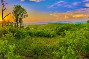 A una hora de Branson se encuentra el único camino panorámico del bosque nacional de Missouri con acceso a los Ozarks y a la naturaleza idílica