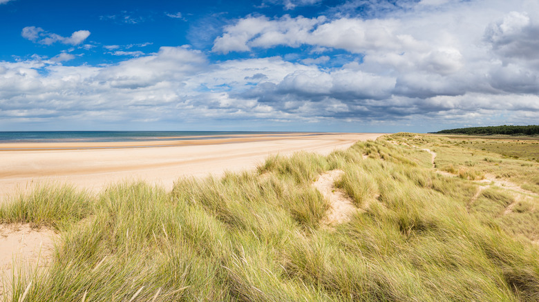 Holkham Beach y dunas de arena, Norfolk