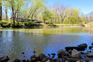 Entre Indianápolis y Champaign hay un parque natural menos conocido con senderos, vida silvestre y vistas al arroyo