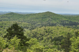A menos de 2 horas de Branson se encuentra el escape de la montaña Ozark de Missouri con senderos y vistas etéreas