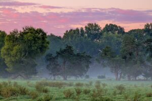 Olvídese de Florida, retírese al escape de Carolina del Sur en las afueras de Charlotte con ciudades encantadoras y diversión al aire libre