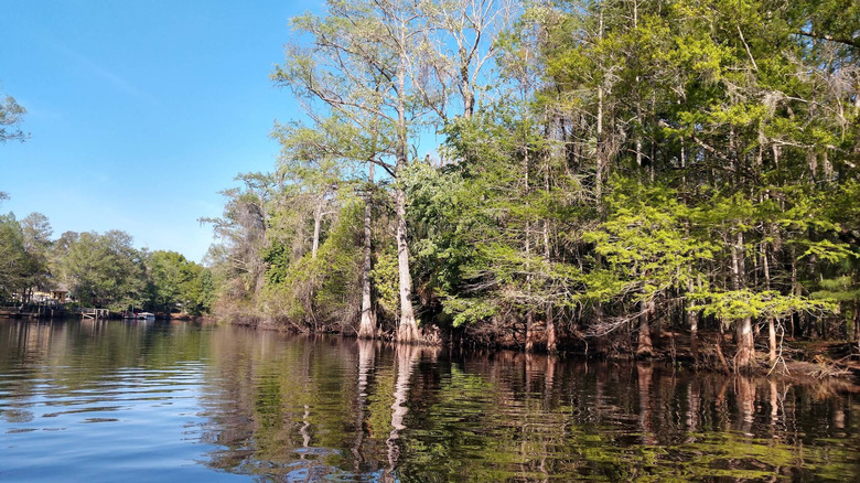 Un lago rodeado de árboles en la Reserva Halpata Tastanaki.