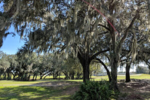 Entre Gainesville y Tampa se encuentra la reserva natural subestimada de Florida con pintorescos humedales, senderos y pesca