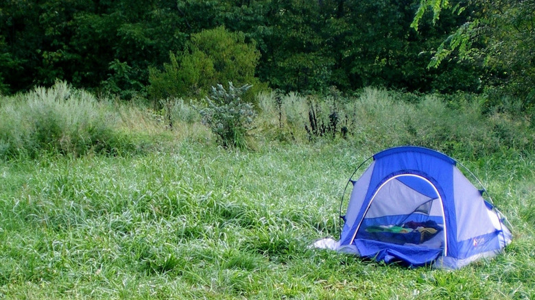 Tienda azul en el camping en el Área de Conservación de Little Indian Creek