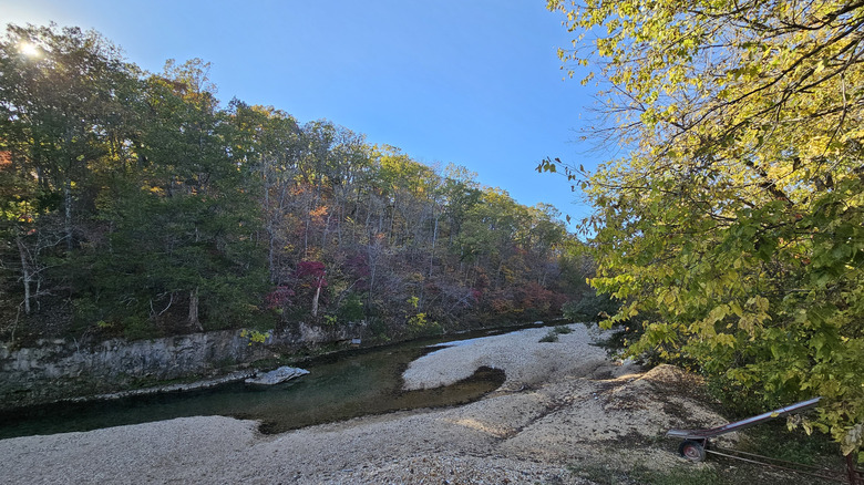 Vista del arroyo de árboles y agua en el Área de Conservación de Little Indian Creek