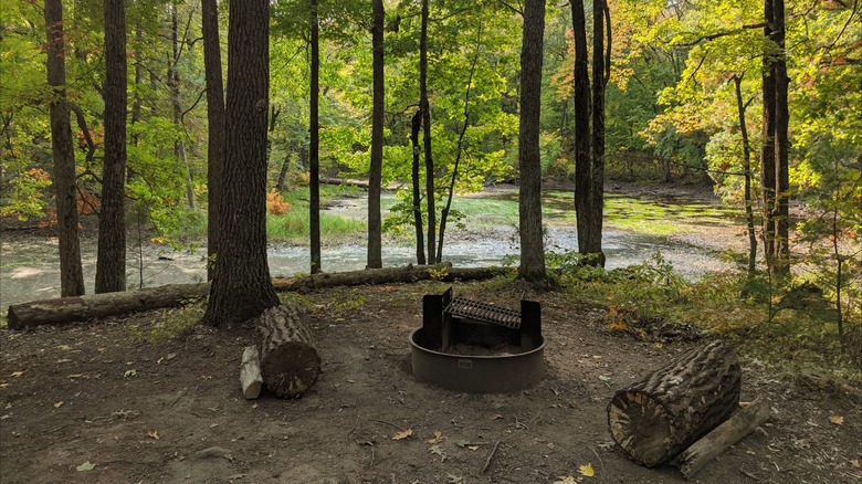 Camping primitivo y arbolado en el Parque Estatal Straight Lake, Wisconsin, con un aro metálico para el fuego, una parrilla para cocinar y troncos como asientos