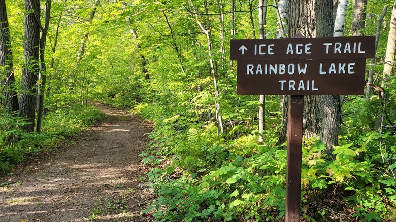 Camino de tierra a través del bosque con un cartel que guía a los visitantes a Ice Age Trail y Rainbow Lake Trail en Straight Lake State Park, Wisconsin.