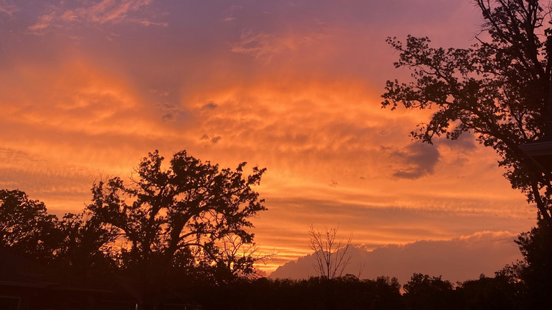 Puesta de sol de verano sobre los árboles en Waukee