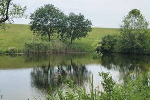 Cerca de St. Louis hay una mina que alguna vez fue próspera y ahora es un parque menos conocido con un lago para pescar, hacer caminatas y disfrutar de la vida silvestre.