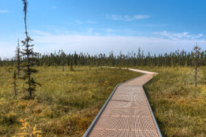 ‘El último verdadero desierto de Minnesota’ es un área recreativa indómita con campamentos, natación y senderos panorámicos