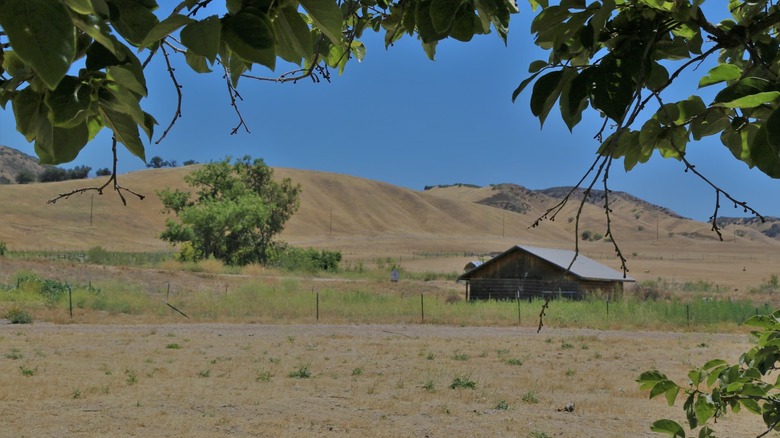 123 Granja en el sur de California