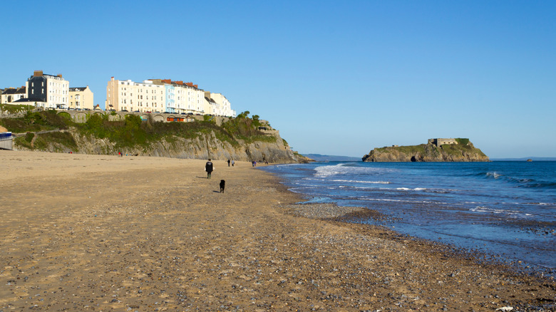 Un perro y su dueño caminan por las arenas de la playa Tenby en Gales.