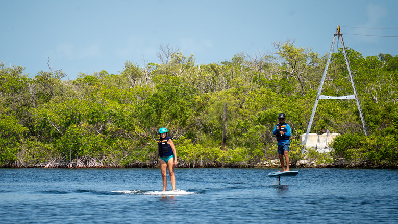 Dos personas en e-foils en The Lagoon on Grassy Key en Marathon, Florida