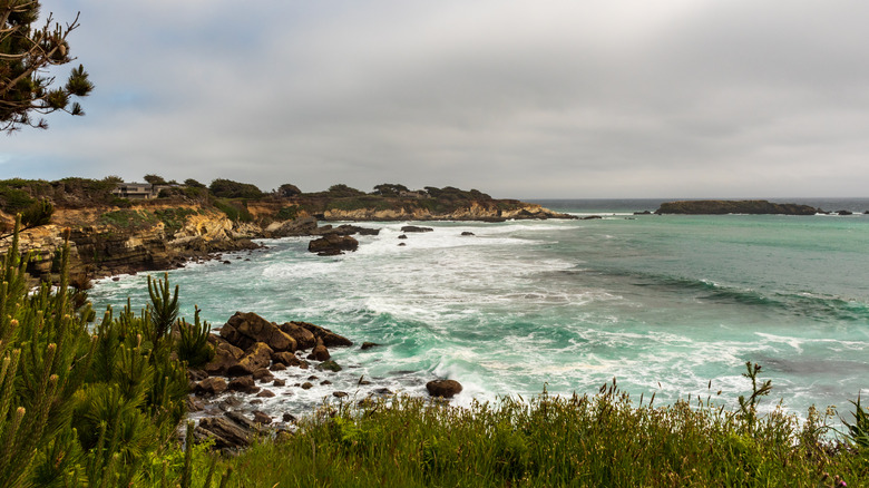Las fuertes olas rompen a lo largo del Bluff Top Trail en el Parque Regional Gualala Point